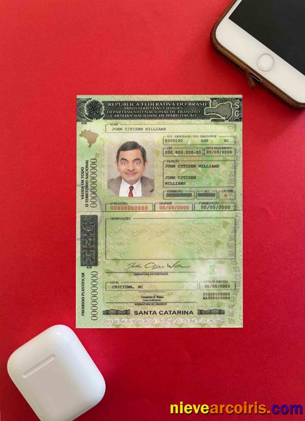 Brazil driving license (Santa Catarina) photolook